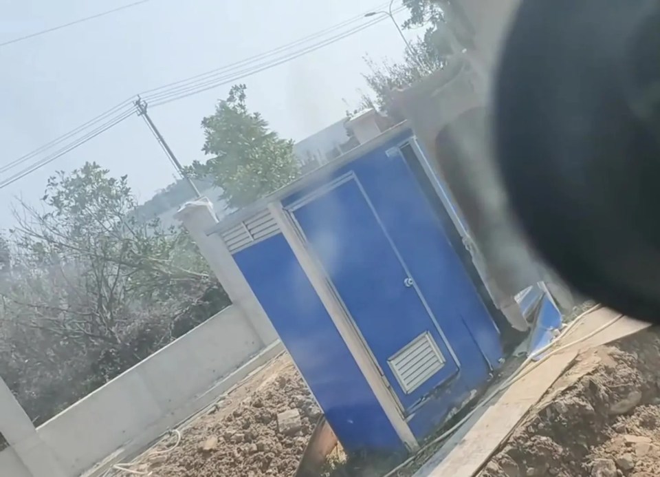 His fellow worker appeared to break through the bright blue toilet