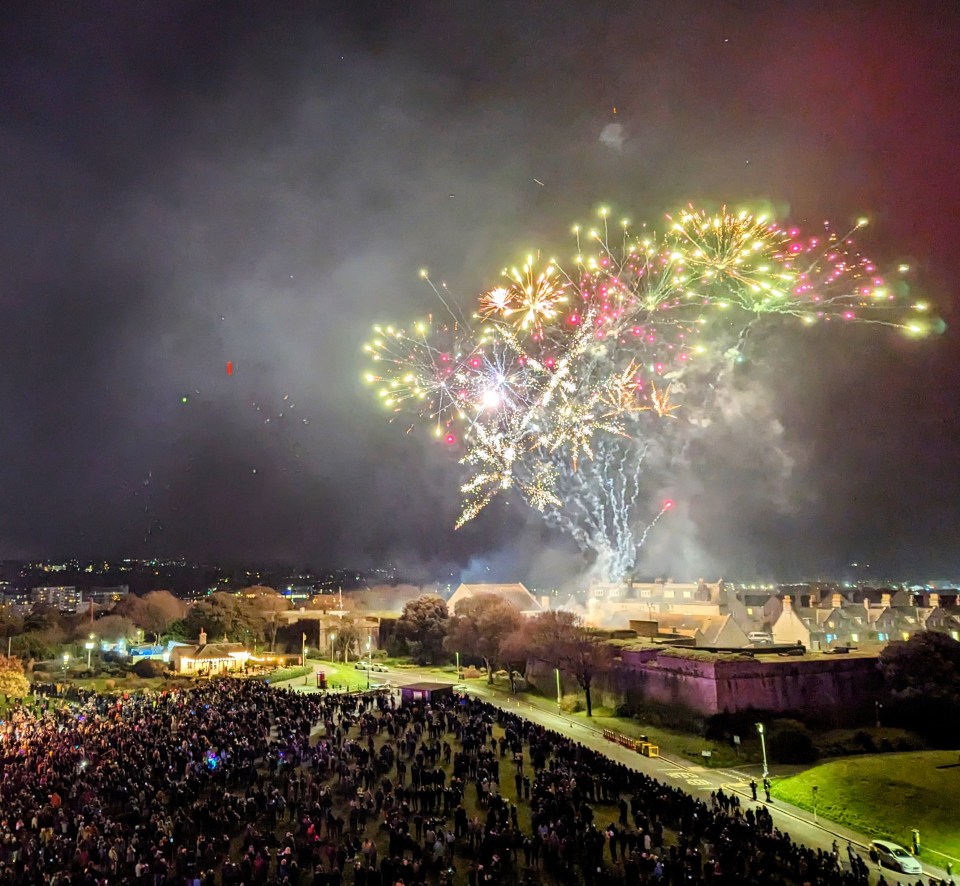 a large crowd of people watching a fireworks display