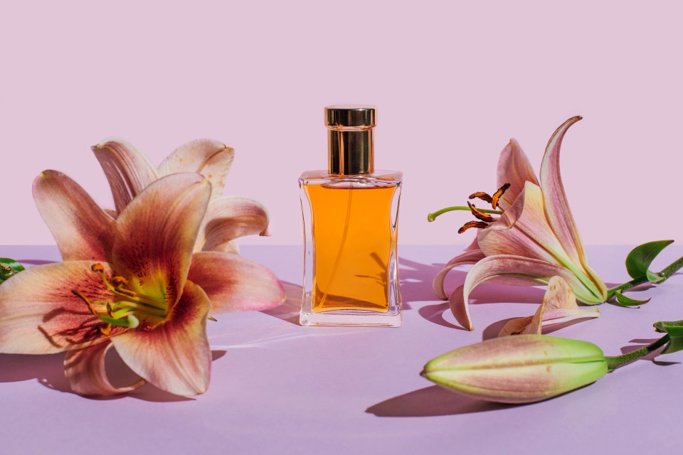 a bottle of perfume surrounded by flowers on a purple surface