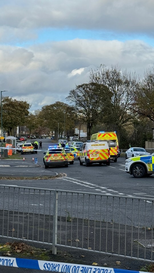 several police cars are parked on the side of the road