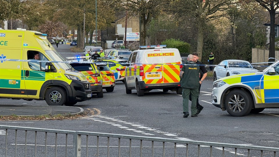 a row of police cars and an ambulance are parked on the street