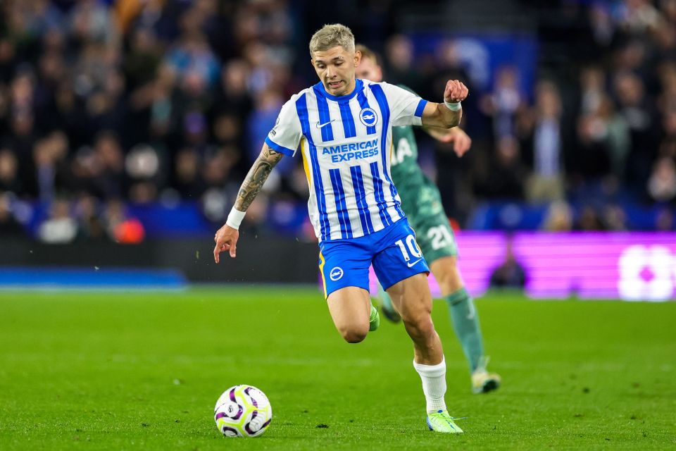 Julio Enciso was in action for Brighton against Tottenham last Sunday