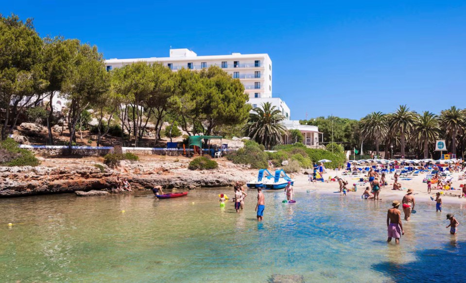 a group of people are playing in the water at a beach