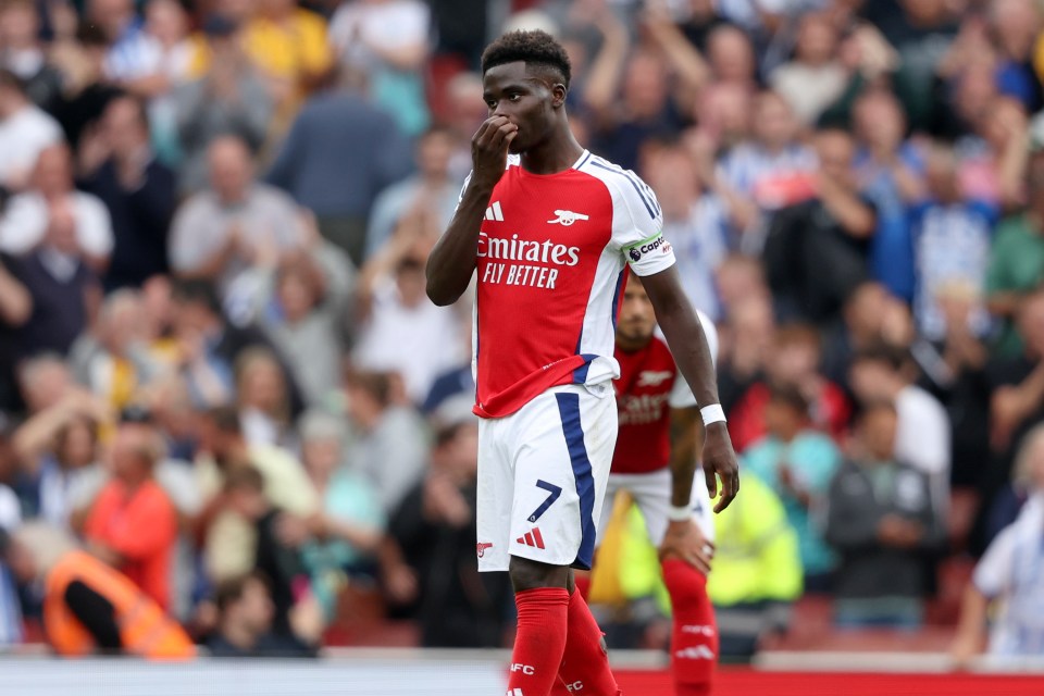 a soccer player wearing a red emirates fly better jersey