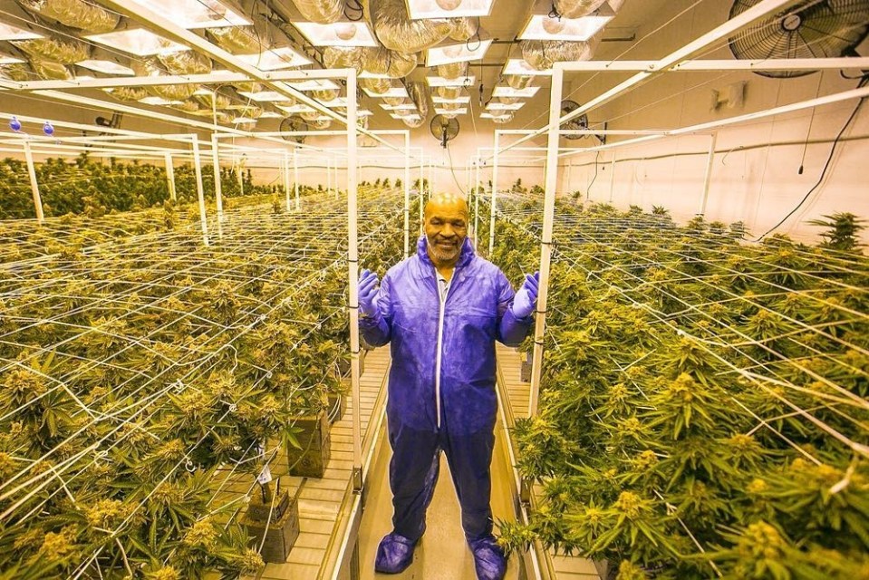 a man in a blue suit is standing in a room full of plants