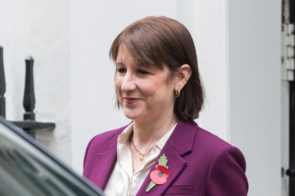 a woman wearing a purple jacket has a poppy pin on her jacket