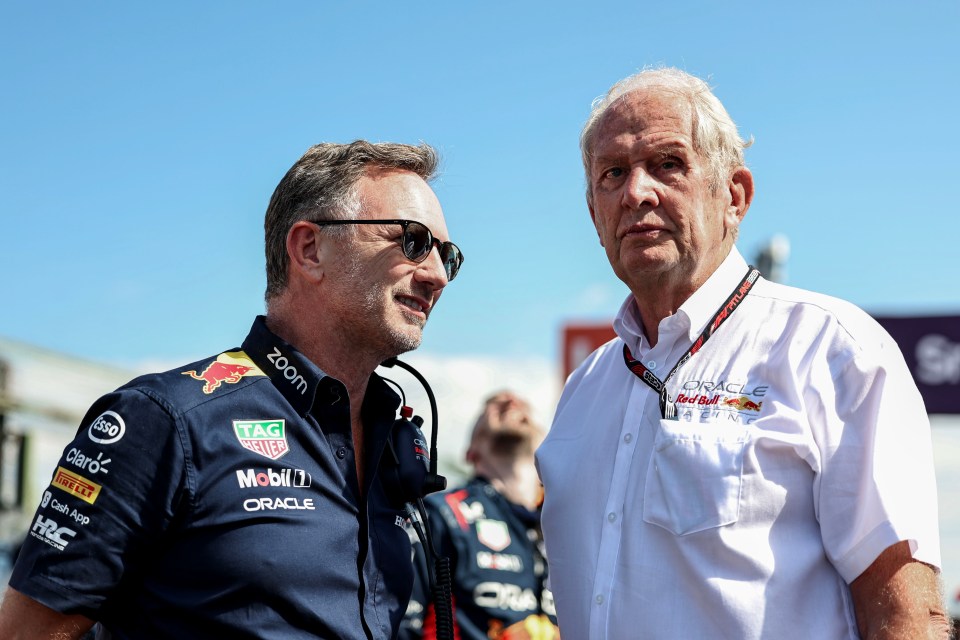 But Horner has now revealed how team advisor Helmut Marko wanted Ricciardo out in June