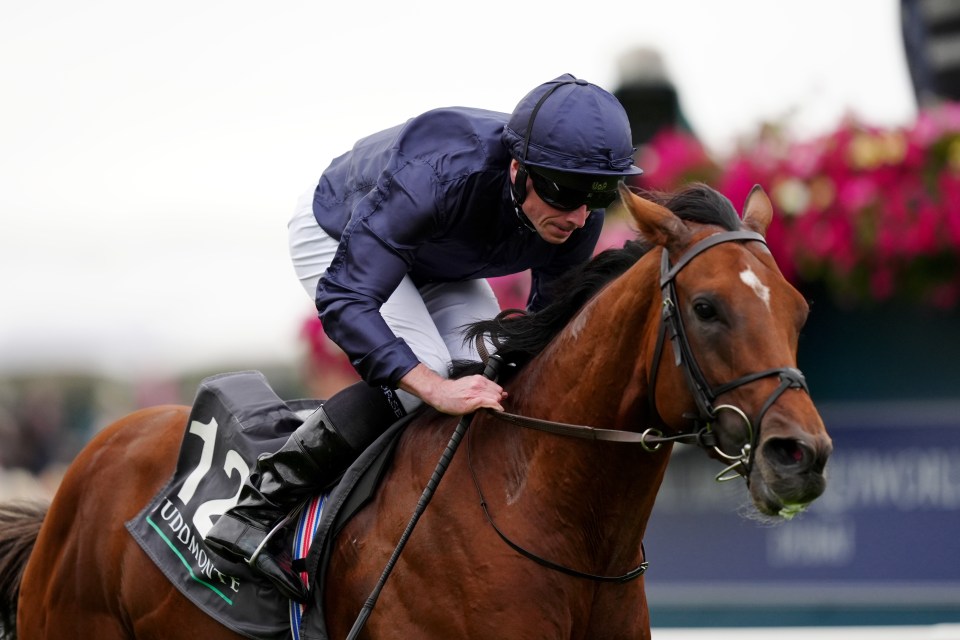 a jockey rides a horse with the number 12 on the back