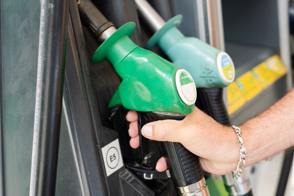 a person is pumping e5 gas into a car