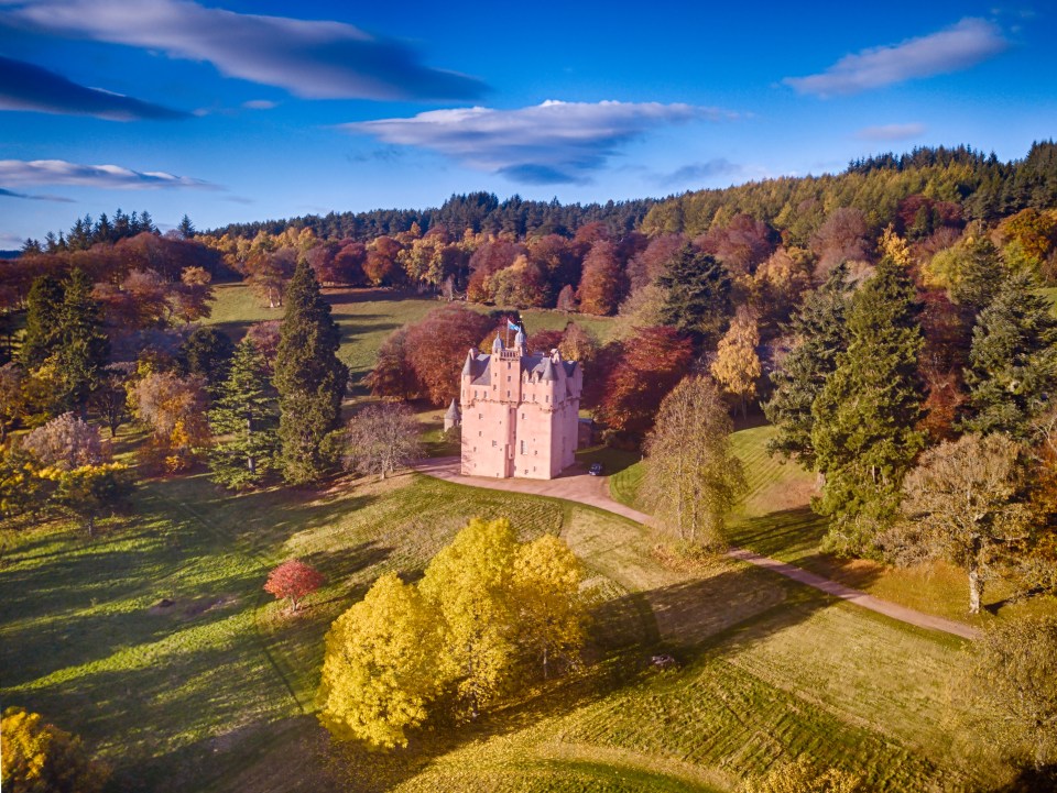 an aerial view of a castle in the middle of a forest