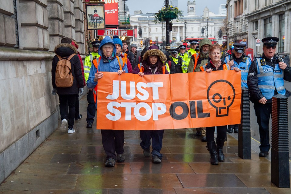 Groups such as Just Stop Oil have been causing havoc in British streets for years