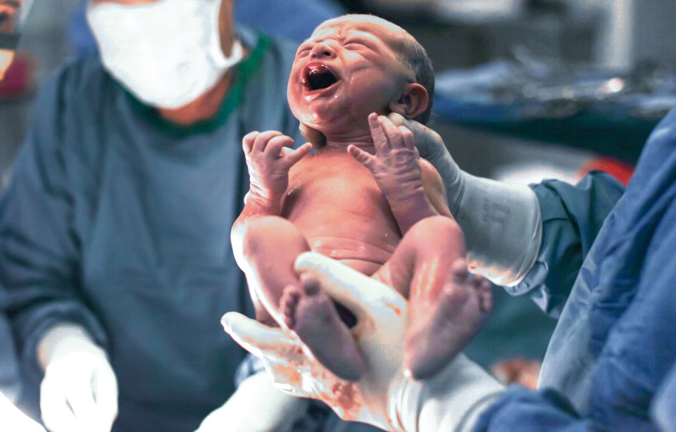 Woke hospital bosses have banned staff from saying babies are born male or female