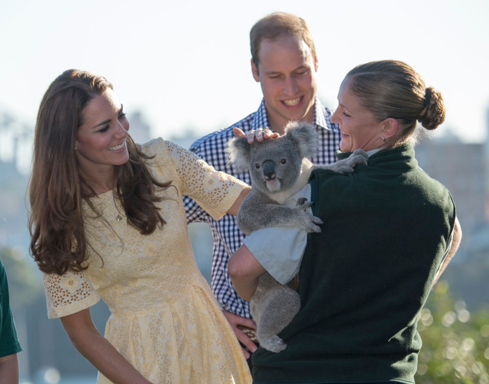 2014: Kate and William have cuddles with a koala