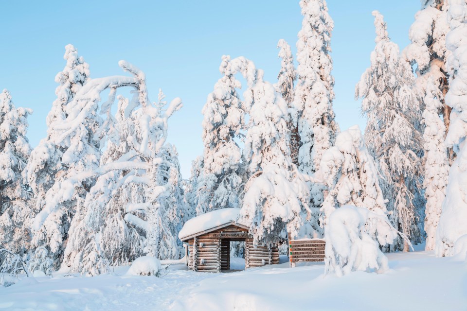 a log cabin in the middle of a snowy forest