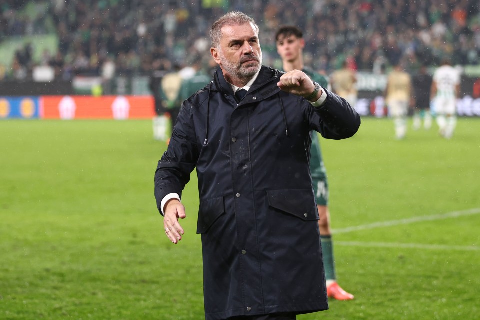 a man in a black coat stands on a soccer field