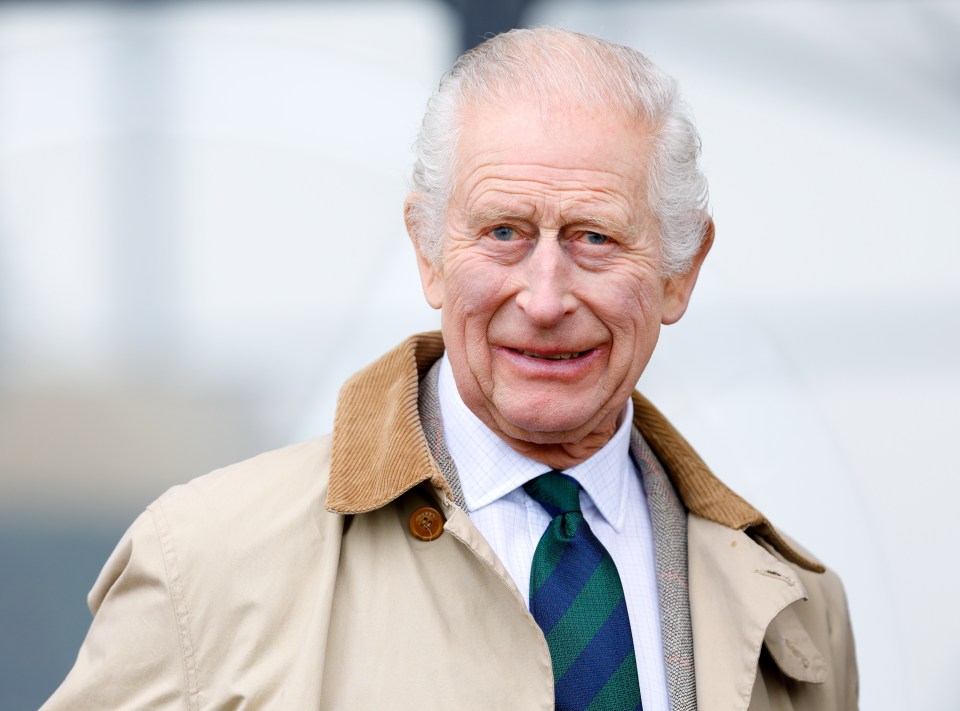 a man wearing a trench coat and tie looks at the camera