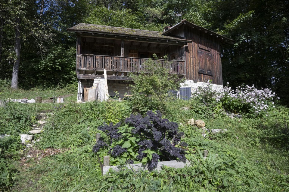 The officially sealed forest hut associated with the first use of the death capsule