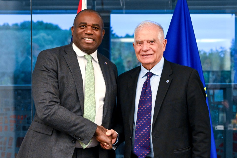 David Lammy, pictured with Josep Borrell, insisted Britain and Brussels 'speak with one voice'