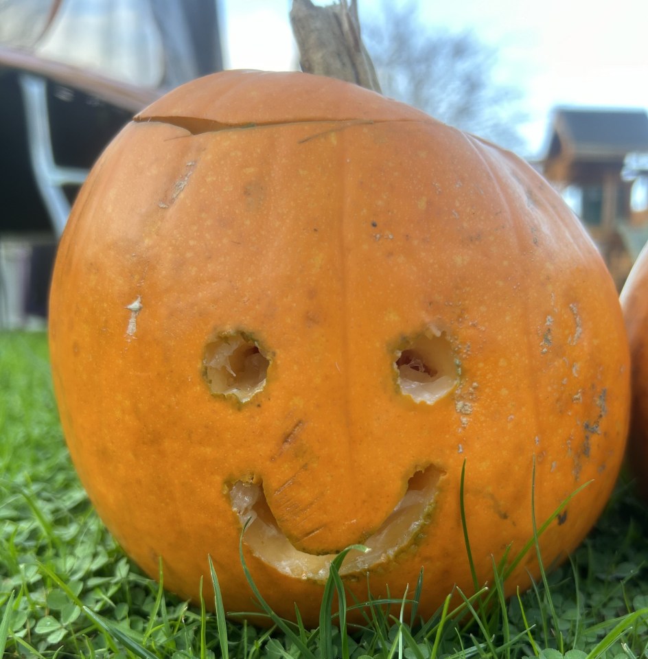 For Millie's pumpkin, we smeared Vaseline all round the areas that we'd carved