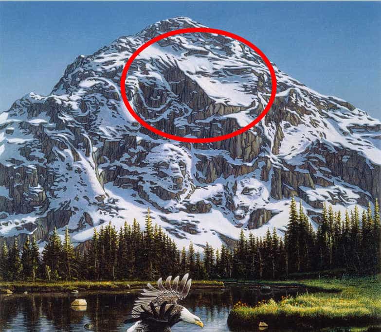 The second bald eagle is circled