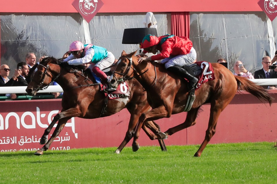 a jockey on a horse with the number 2 on it