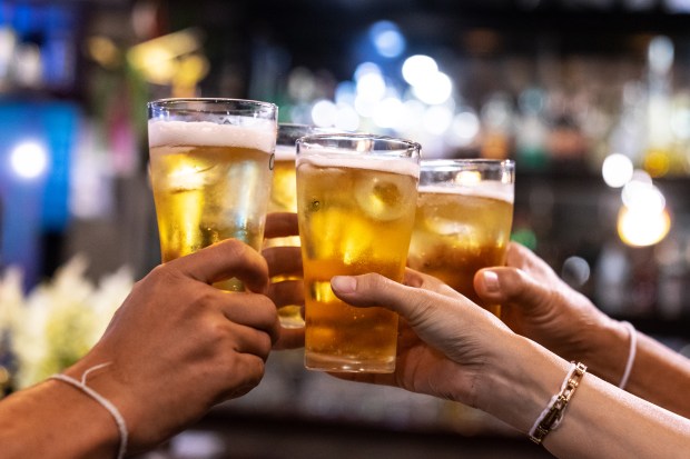 a group of people toasting with glasses of beer