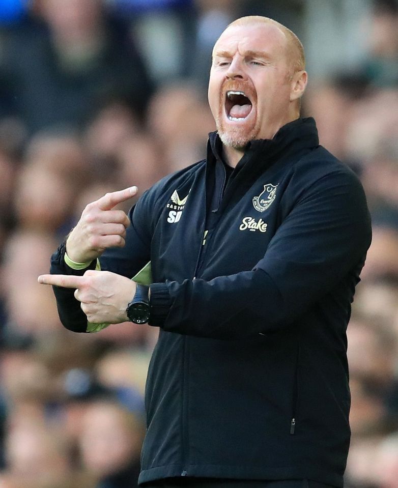 Sean Dyche will get a transfer-kitty boost if a takeover goes through