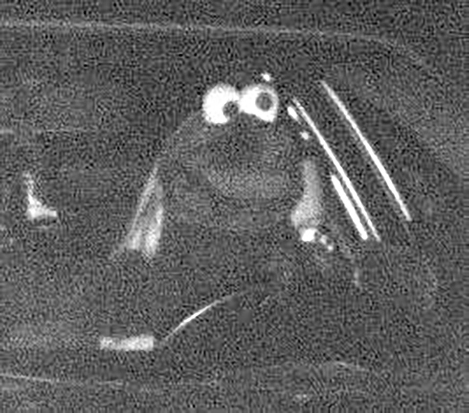 a black and white photo of a person sitting in a car .