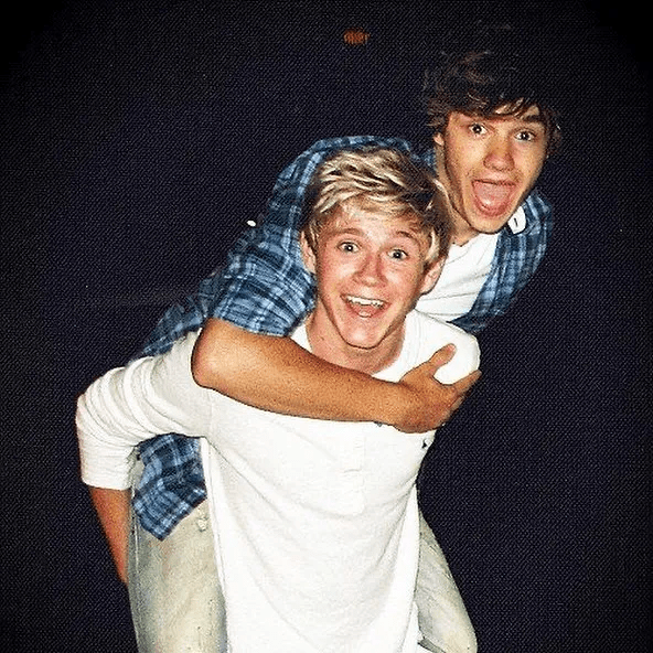 Niall Horan shared a photo alongside Liam Payne in his tribute