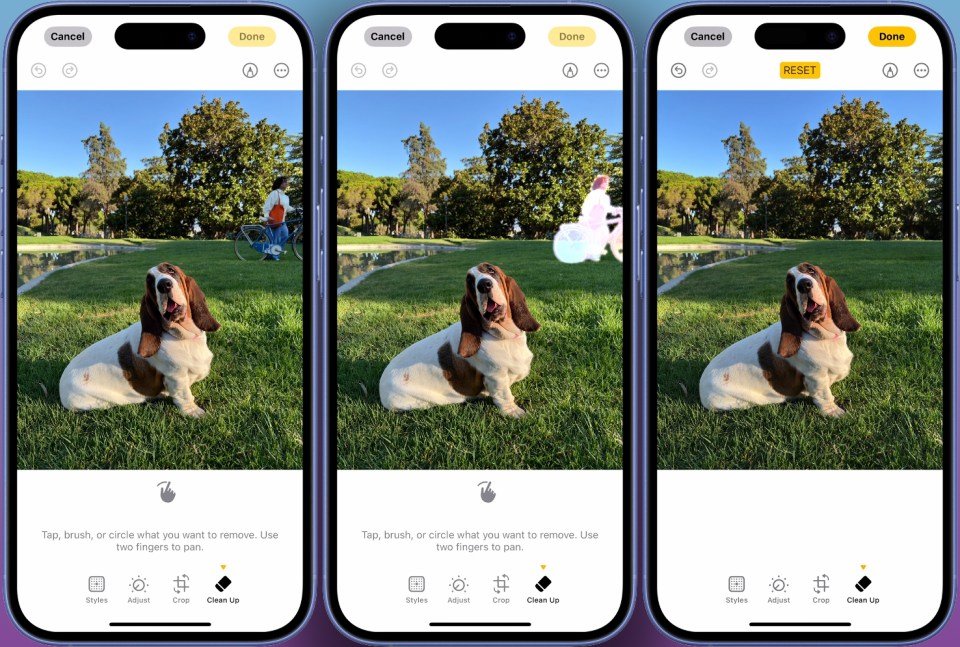 three phone screens showing a basset hound in the grass