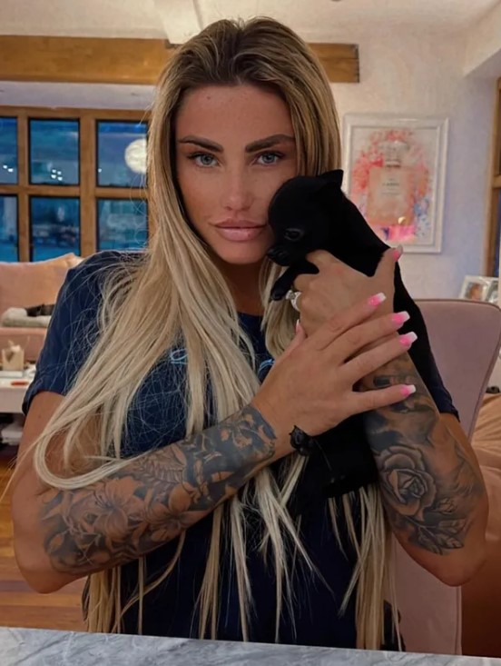 a woman with tattoos on her arms holds a small black dog