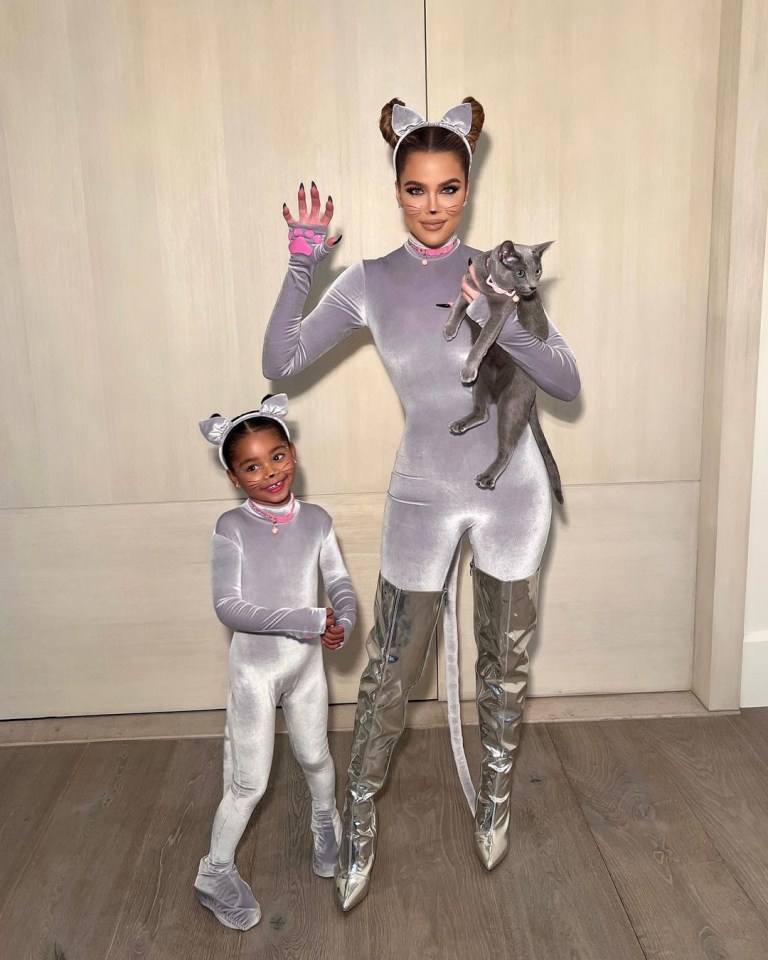 a woman in a cat costume holds a cat next to a little girl in a mouse costume