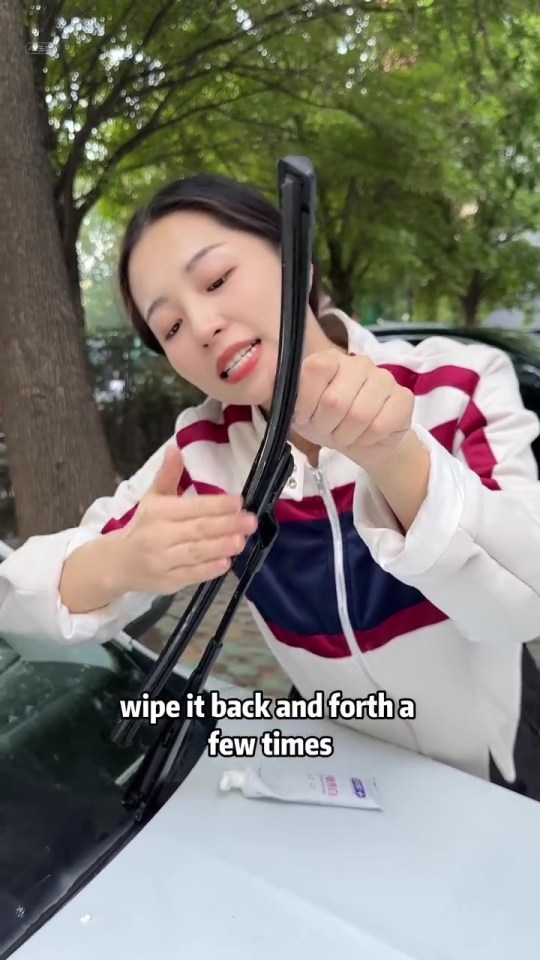 a woman wipes her windshield with a wiper blade and says wipe it back and forth a few times