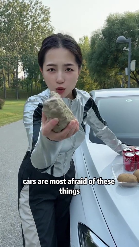 a woman holding a rock in front of a car that says cars are most afraid of these things