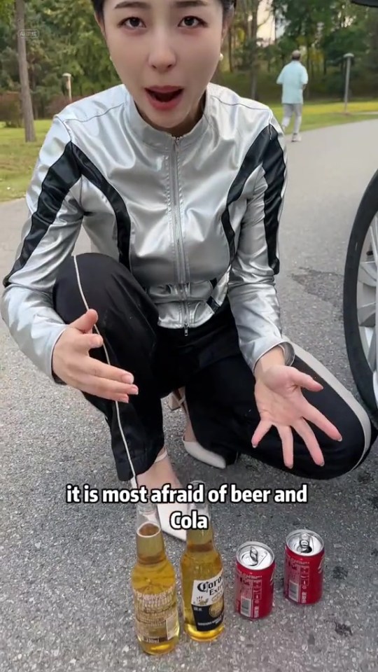 a woman is kneeling down next to a bottle of corona beer