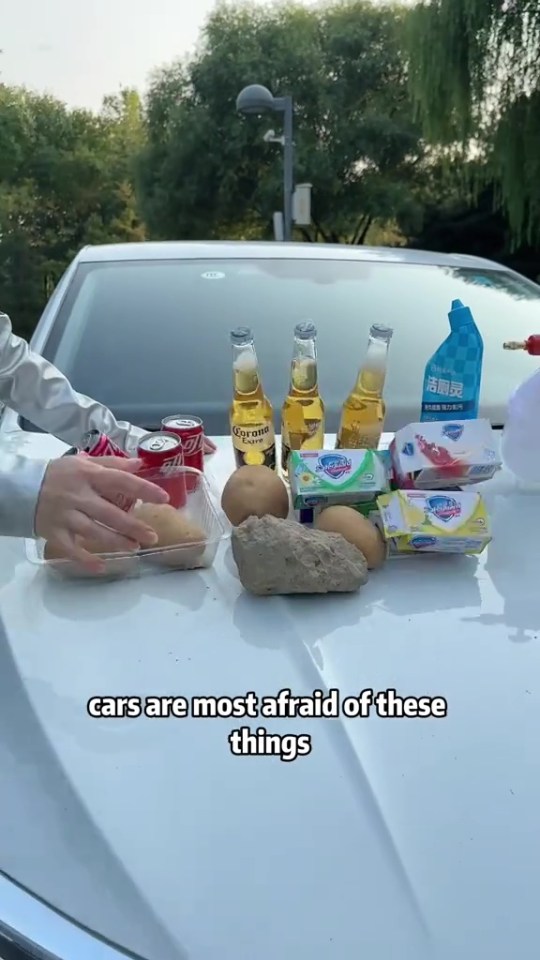 a bottle of corona beer sits on the hood of a car