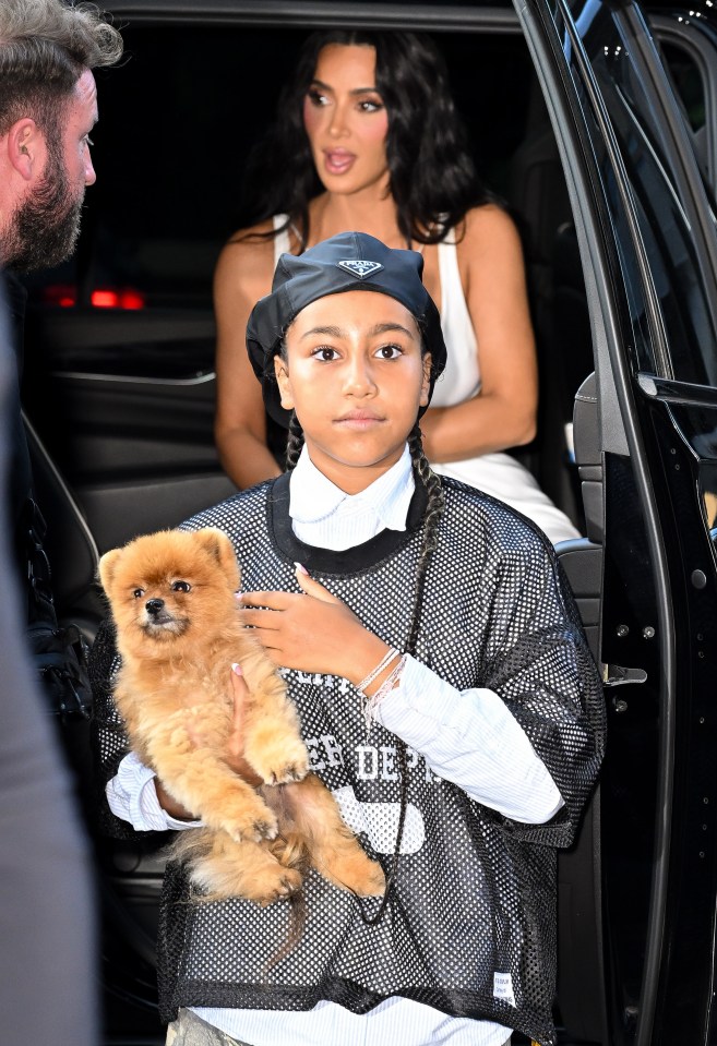 a girl holding a small brown dog wearing a prada hat