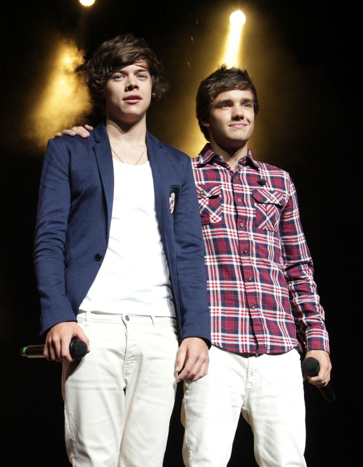 Liam Payne (right) died after falling from a hotel balcony on Wednesday