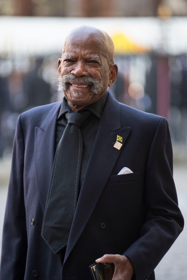 a man in a suit has a yellow and black flag pin on his jacket