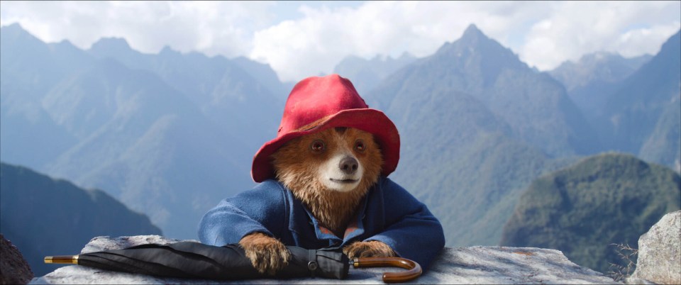 a bear wearing a red hat is holding an umbrella