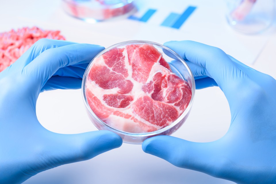 a person holding a petri dish with meat in it