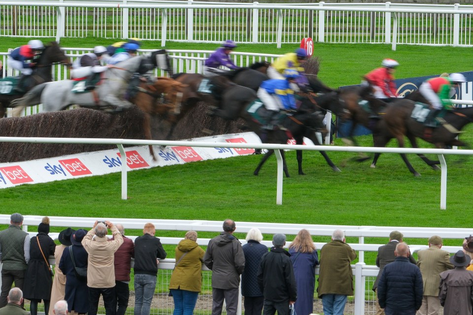 It was great to have racing back at Cheltenham but the action was diluted up against the Group 1 Futurity at Doncaster