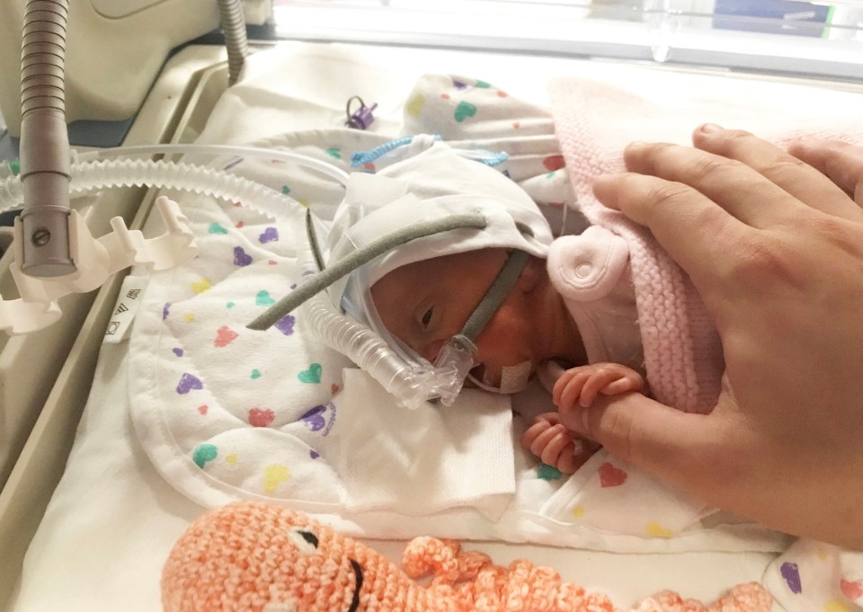 a person holds a baby 's hand in an incubator with an a on it