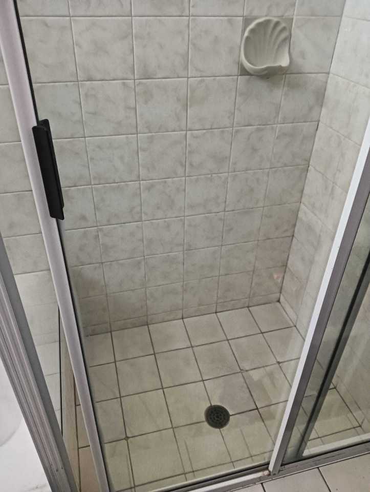 Facebook users were wowed by a cleaning enthusiast's method for shining her shower screen (pictured)