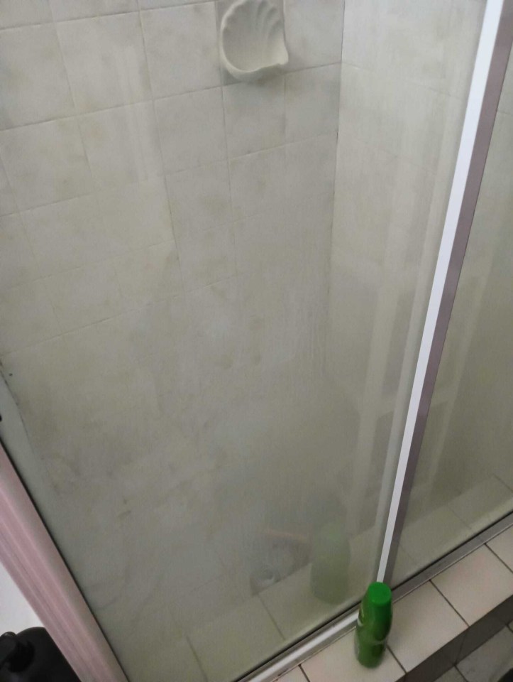 a green bottle of shampoo sits next to a shower door