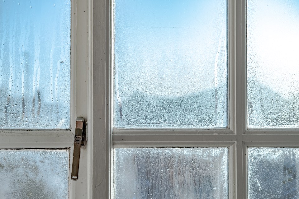 a window with condensation on it and a blue sky in the background