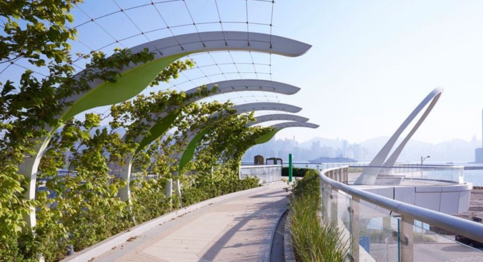 a walkway with green and white plants along the side