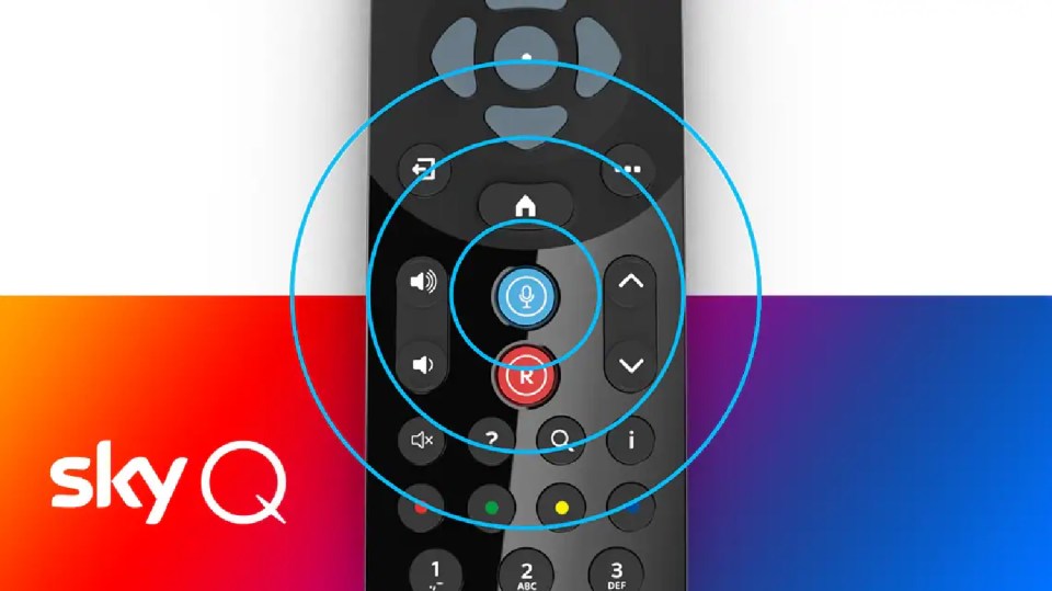 a sky q remote control with a blue circle around it