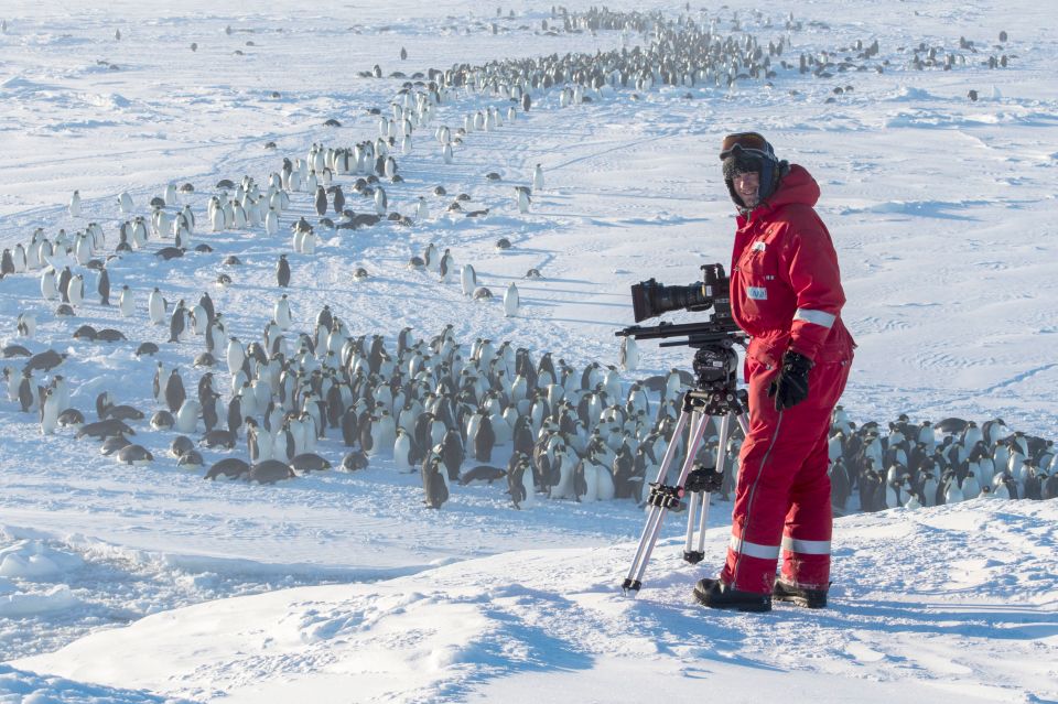 Camera crews on nature show wait for hours in tough conditions to capture the best action