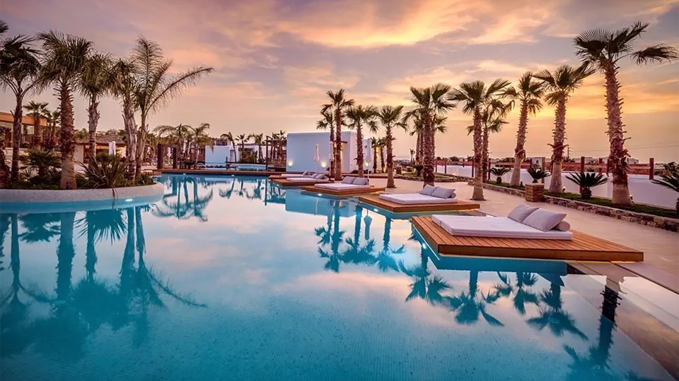 a large swimming pool surrounded by palm trees at sunset